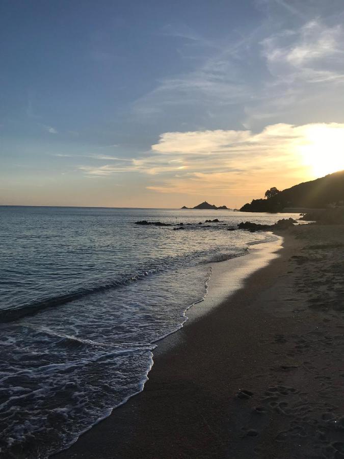Magnifique Villa Recente Entre Mer Et Montagne Situee Entre Ajaccio Et Porticcio Cauro Extérieur photo
