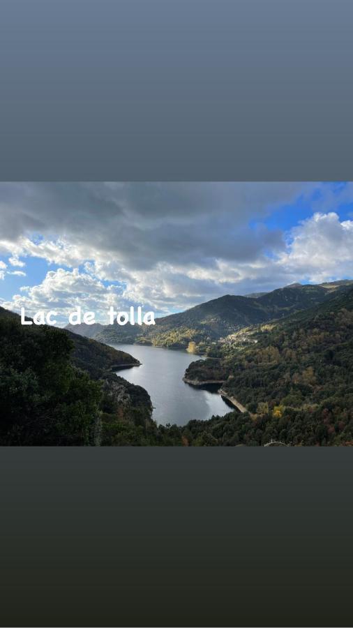 Magnifique Villa Recente Entre Mer Et Montagne Situee Entre Ajaccio Et Porticcio Cauro Extérieur photo